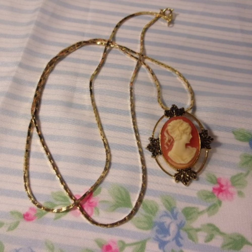 "Resin Cameo Pin/Pendant With 30"" Long Chain "